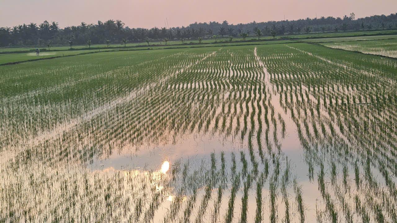 Chứng Nhận Hữu Cơ Cao Nhất